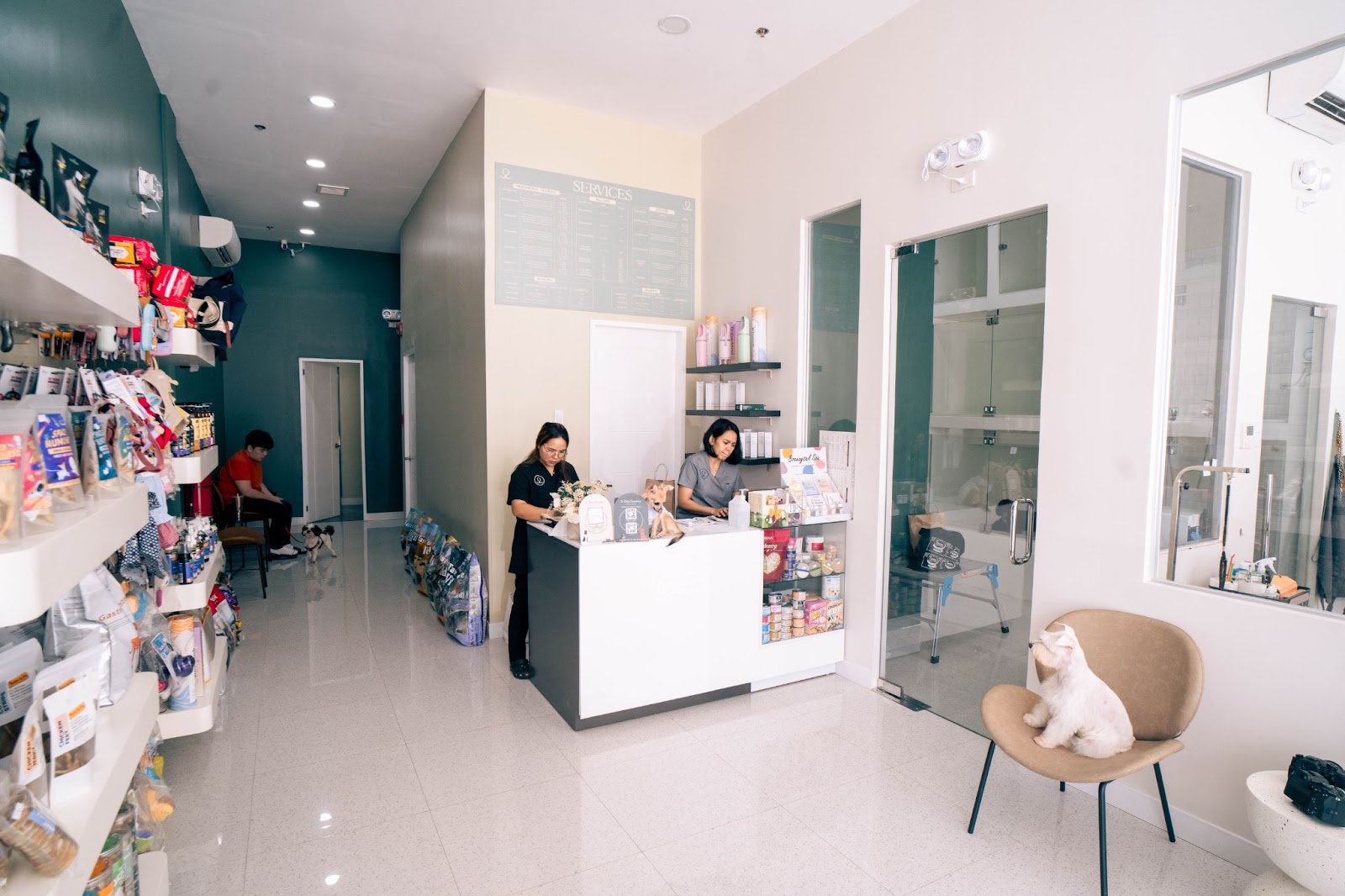 Premium Pet Care Experience