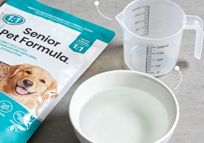 Scientific Care for Elderly Pets